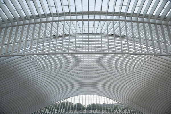 gare de Liège-Guillemins / Liege-Guillemins railway station